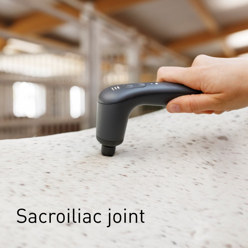 NOVAFON treatment of sacroiliac joint on horses