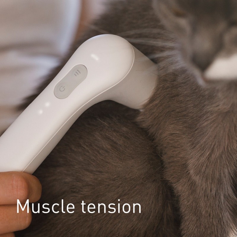 NOVAFON treatment of muscle tension on cats