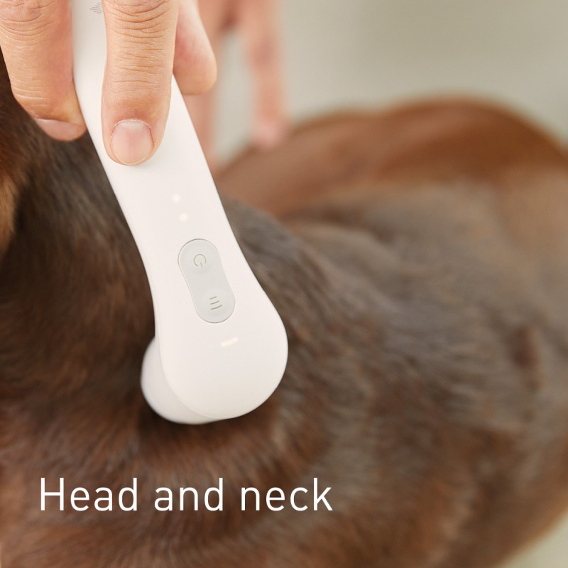 NOVAFON treatment of head and neck on dogs