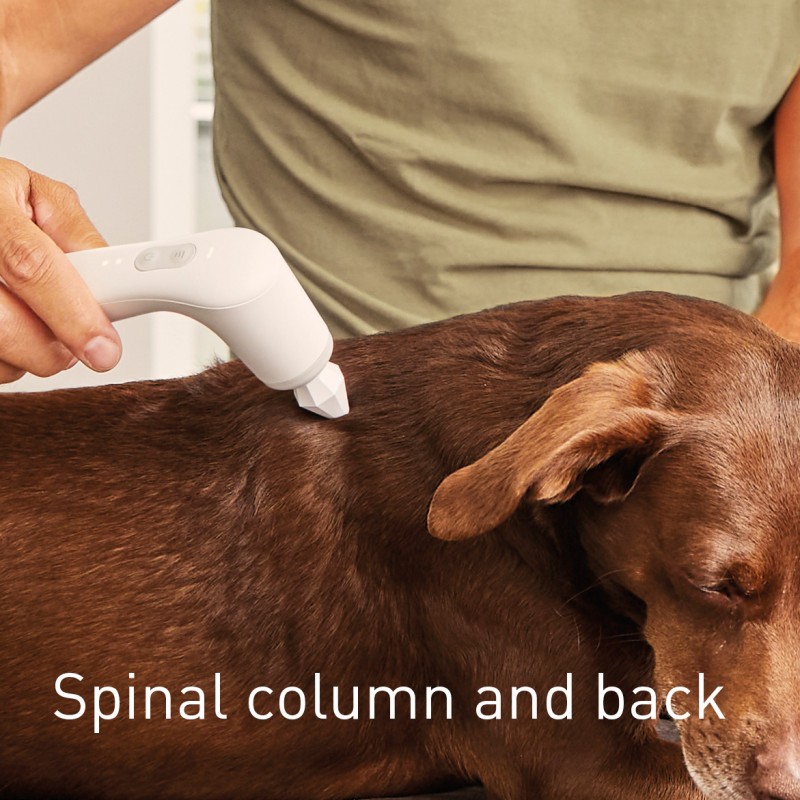 NOVAFON treatment of back on dogs