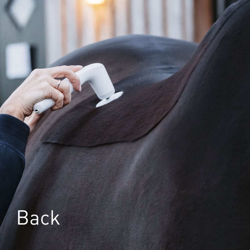 NOVAFON treatment of the back on horses