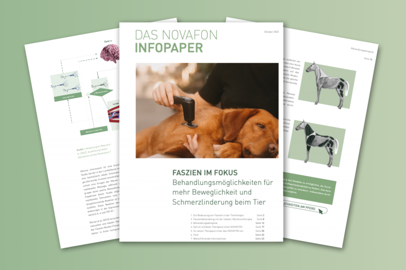 Infopaper Faszien Behandlung bei Tieren