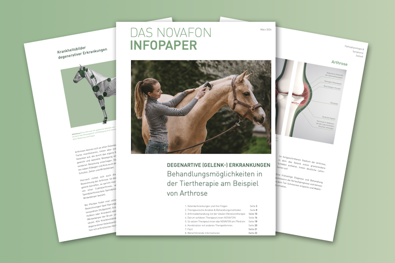 arthrose bei pferden mit dem novafon behandeln