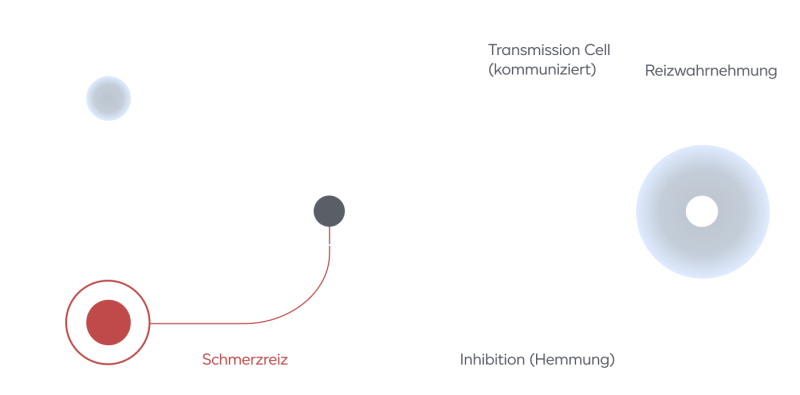 Gate Control Novafon